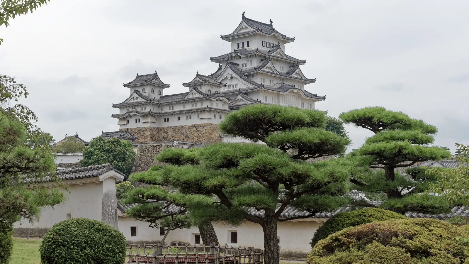 Himeji Castle's white main keep rising behind trimmed pine trees.