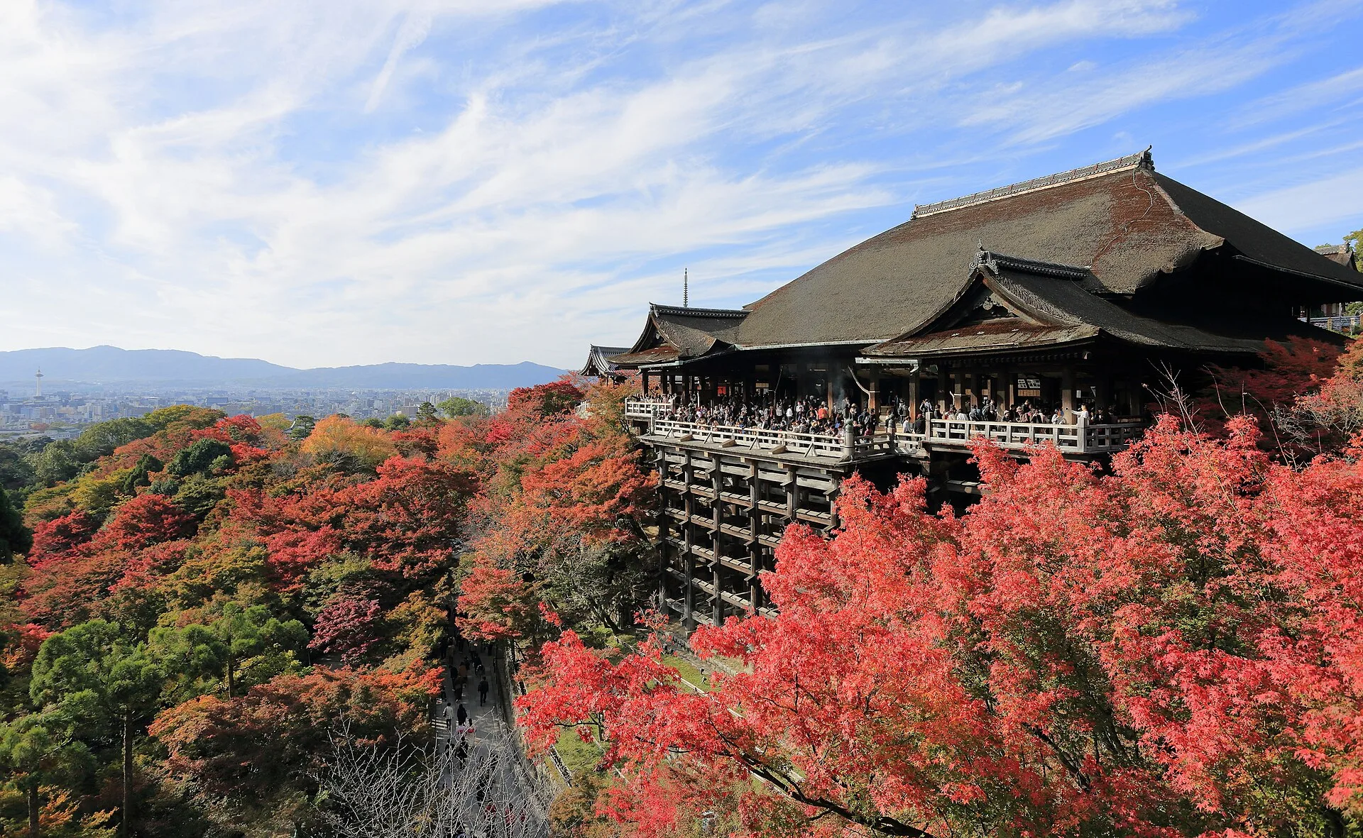 The main hall and stage of Kiyomizu-dera in Kyoto in November, with red-turned maple leaves in the right foreground.