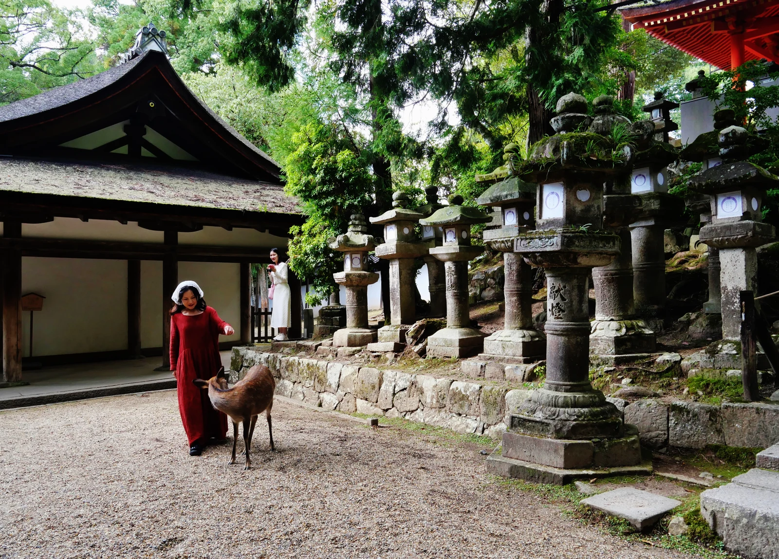 Rows of stone lanterns lining a path at Kasuga Taisha in Nara, with a deer standing nearby.
