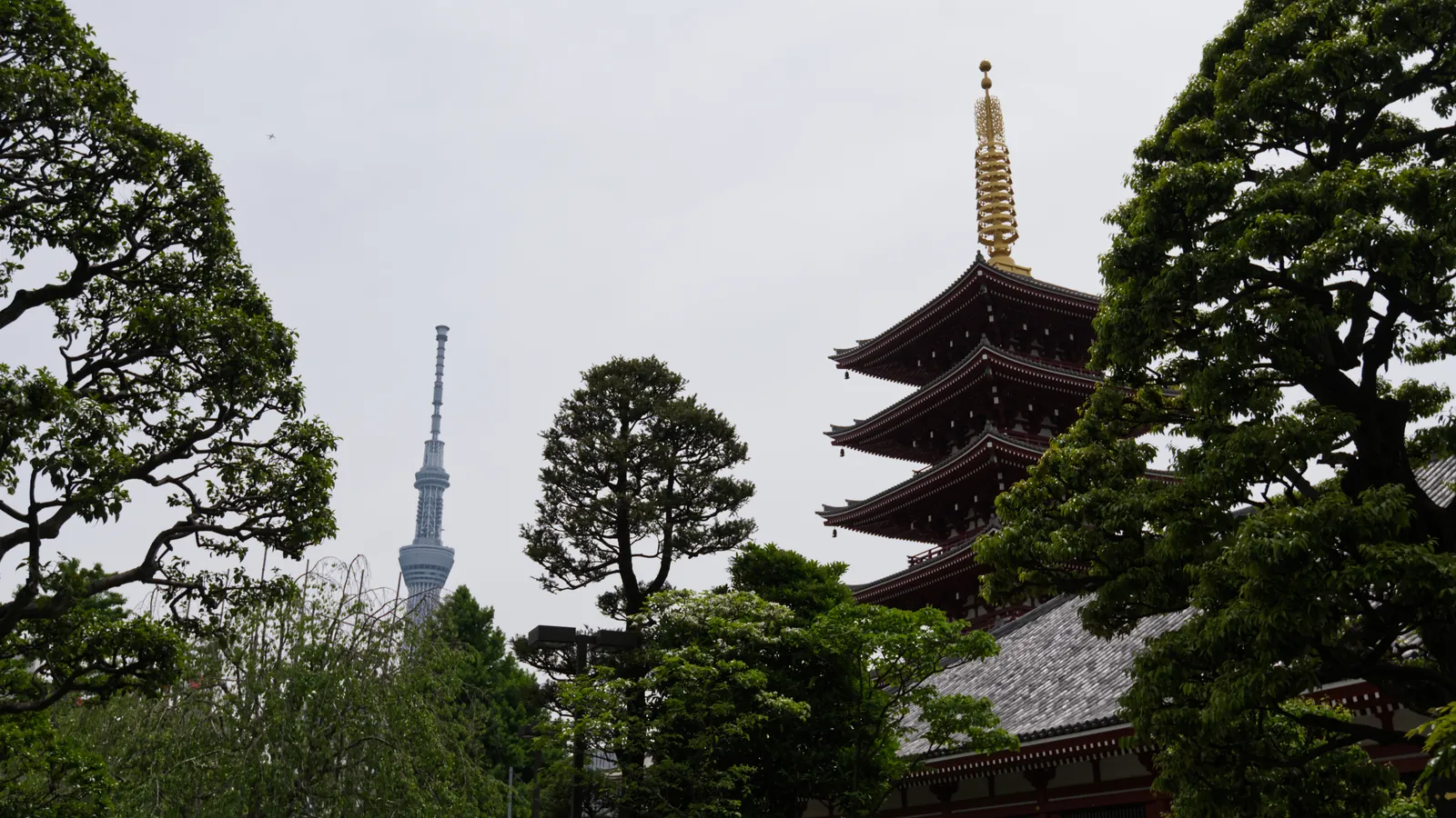 The five-storied pagoda of Senso-ji in Asakusa with the Tokyo Skytree rising behind the trees.