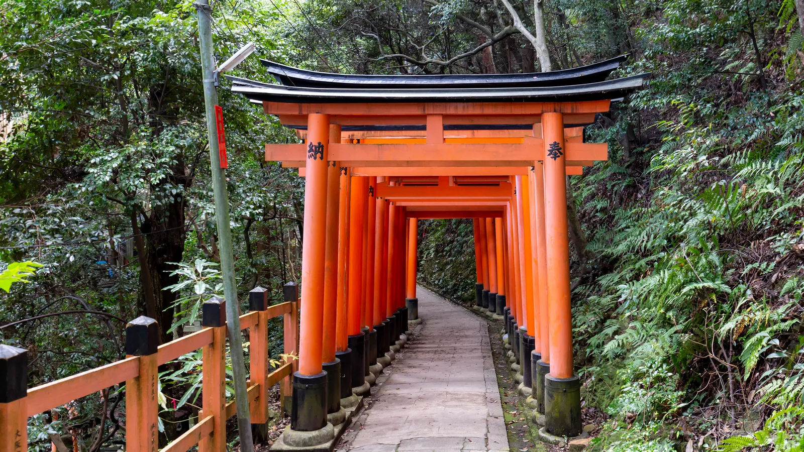A path of vermilion torii gates leading through a forest at Fushimi Inari Shrine in Kyoto.